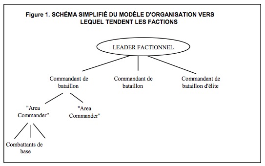 modèle organisationnel factions