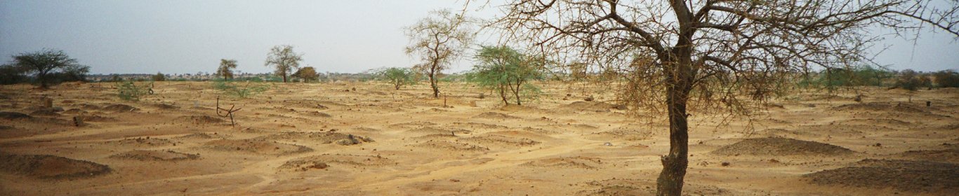 Le cimetière Dakoro, Niger