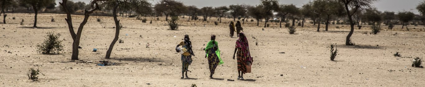 Des femmes traversent une zone sèche du Niger