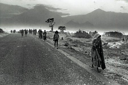 Rwandan refugees fleeing towards Congo-Zaire, 1994. 